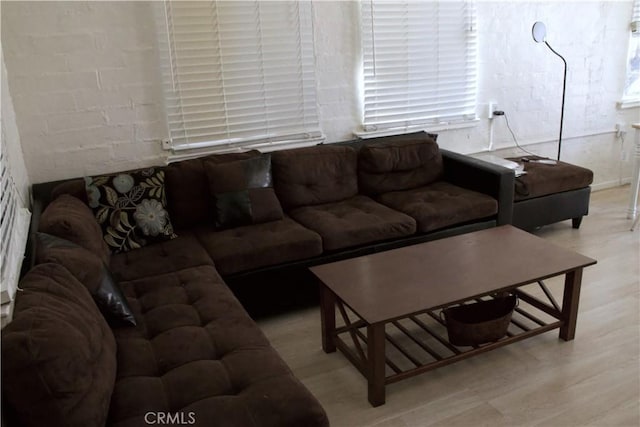 living room featuring light hardwood / wood-style floors