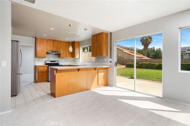 kitchen with light carpet, stainless steel appliances, kitchen peninsula, and a wealth of natural light