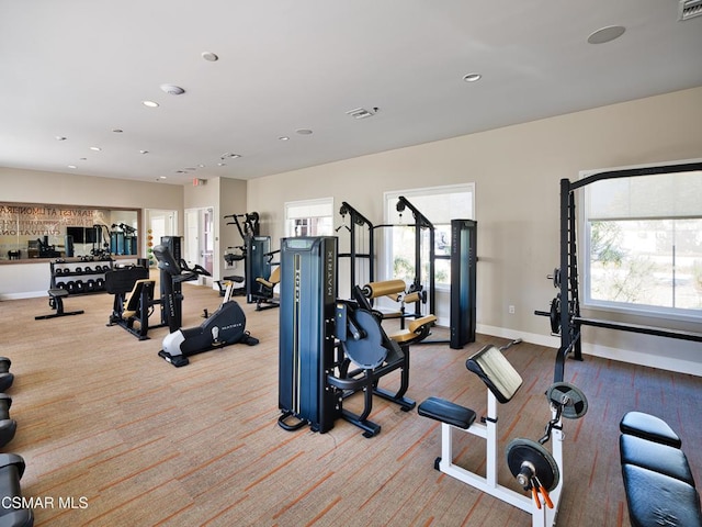 workout area featuring light hardwood / wood-style floors and a healthy amount of sunlight