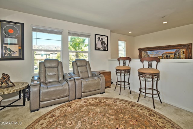 cinema room with light carpet and a wealth of natural light