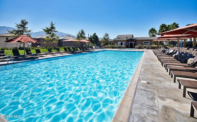 view of swimming pool featuring a patio area