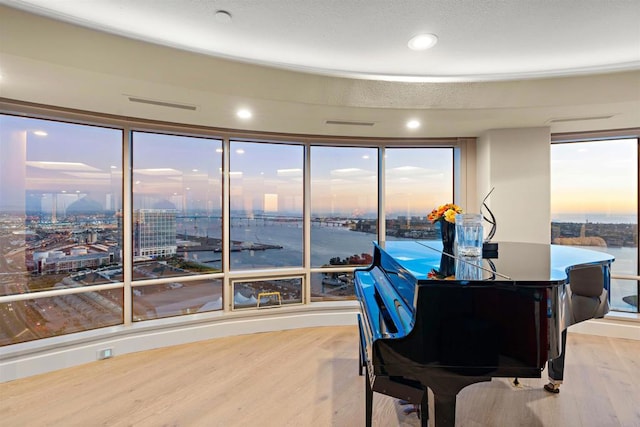 misc room featuring a wealth of natural light, a textured ceiling, light hardwood / wood-style flooring, and a water view