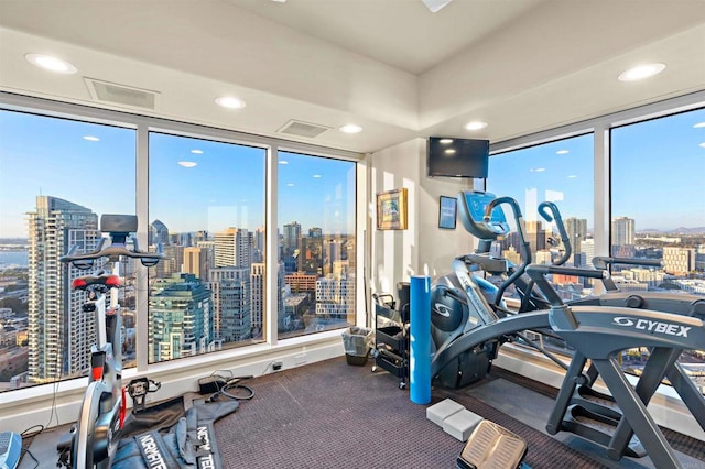 exercise room with floor to ceiling windows