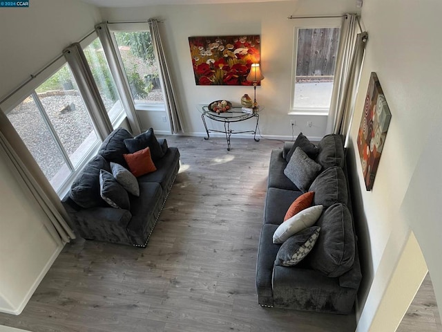 living room featuring wood-type flooring