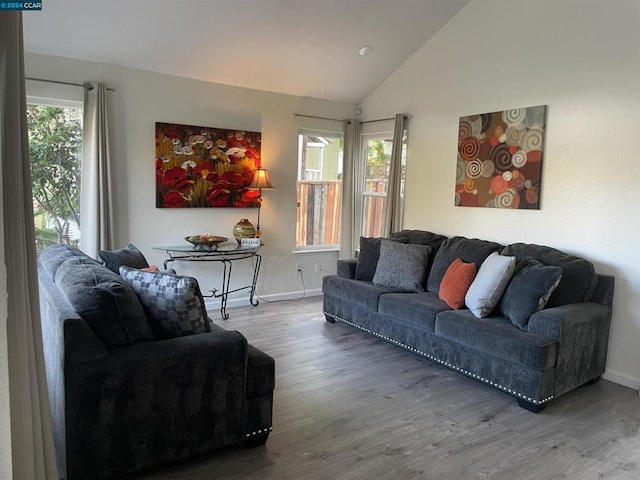 living room featuring hardwood / wood-style floors and high vaulted ceiling