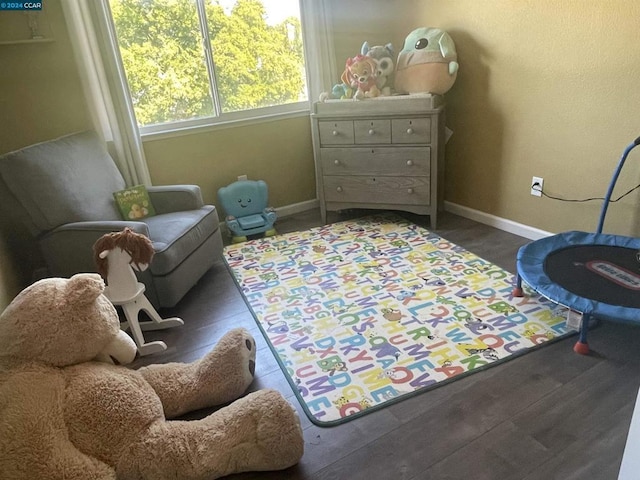 sitting room with dark hardwood / wood-style floors