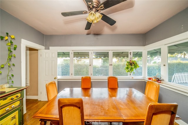 dining space featuring ceiling fan, dark hardwood / wood-style floors, and plenty of natural light