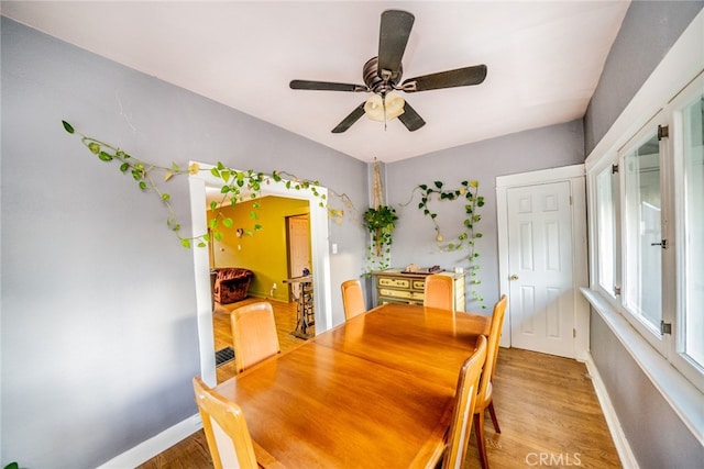 dining space with wood-type flooring and ceiling fan