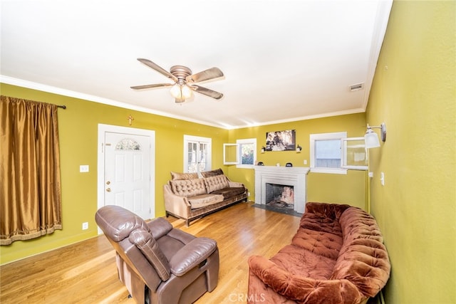 living room featuring ceiling fan, crown molding, and light hardwood / wood-style floors