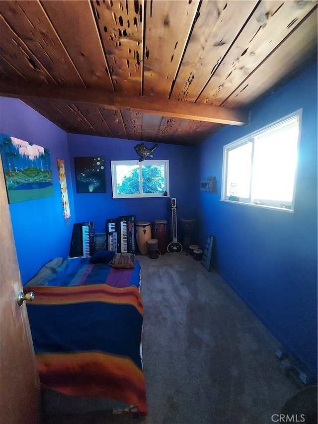 interior space featuring a healthy amount of sunlight, wood ceiling, and carpet