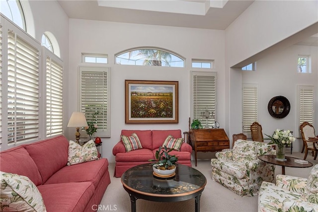 view of carpeted living room