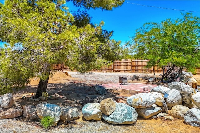 view of yard featuring a patio