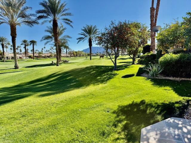 view of property's community featuring a yard