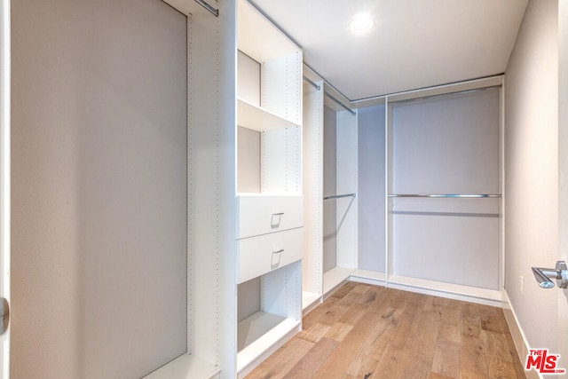 walk in closet with light wood-type flooring