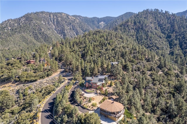 birds eye view of property featuring a mountain view