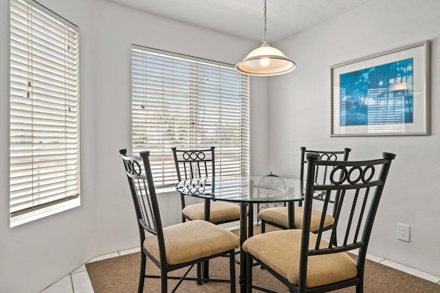 view of tiled dining room