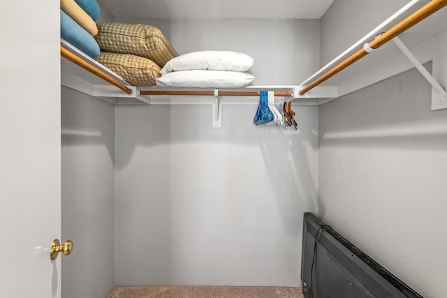 spacious closet with carpet floors