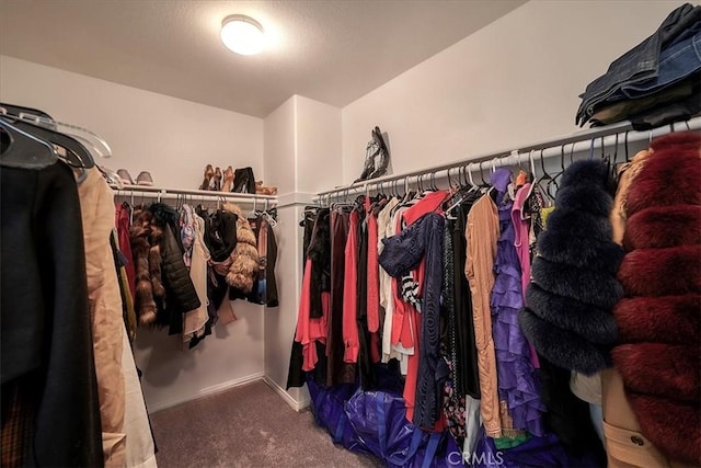 walk in closet featuring carpet flooring