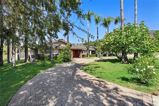 ranch-style home with a front lawn