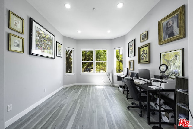 home office featuring wood-type flooring