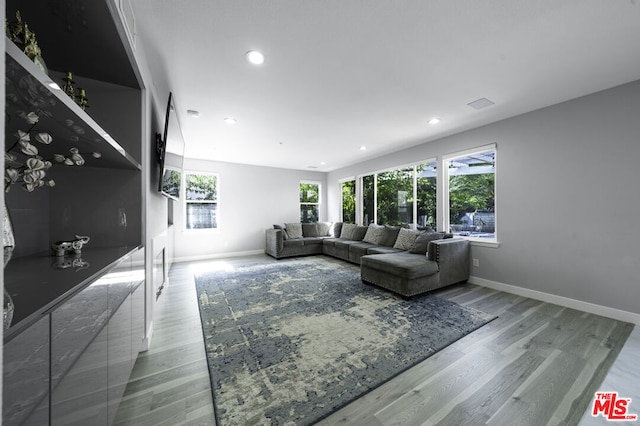 living room featuring light hardwood / wood-style flooring