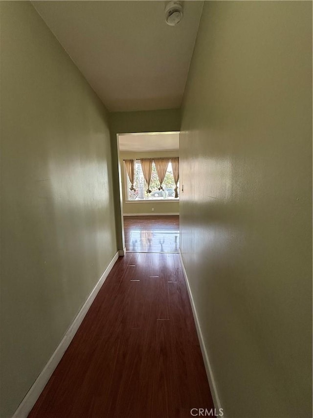 corridor featuring dark wood-type flooring