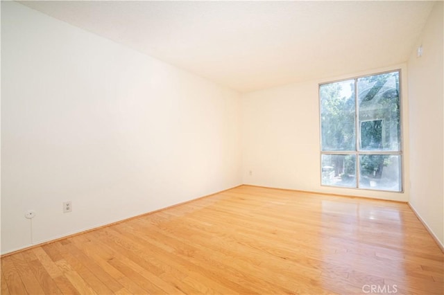 spare room with a wealth of natural light and light hardwood / wood-style floors