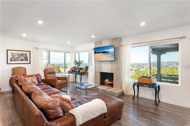 living room featuring a fireplace and dark hardwood / wood-style flooring