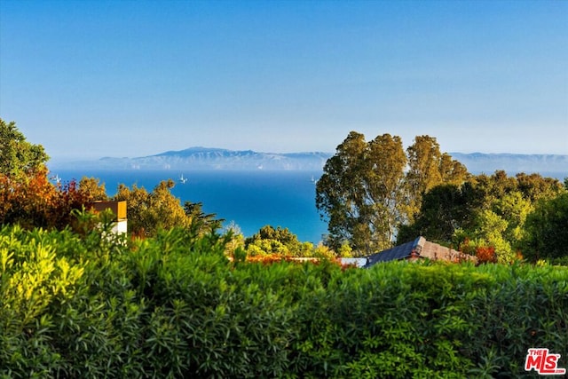 water view featuring a mountain view