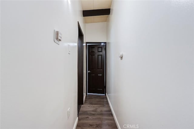 hallway featuring dark wood-type flooring