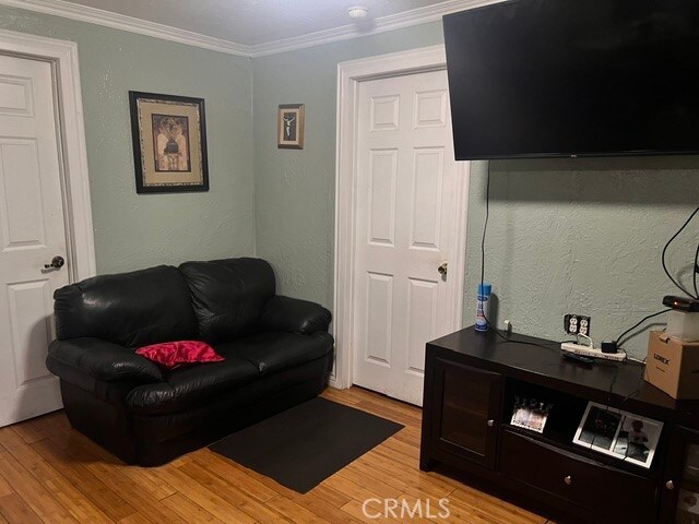 living room with ornamental molding and light hardwood / wood-style flooring