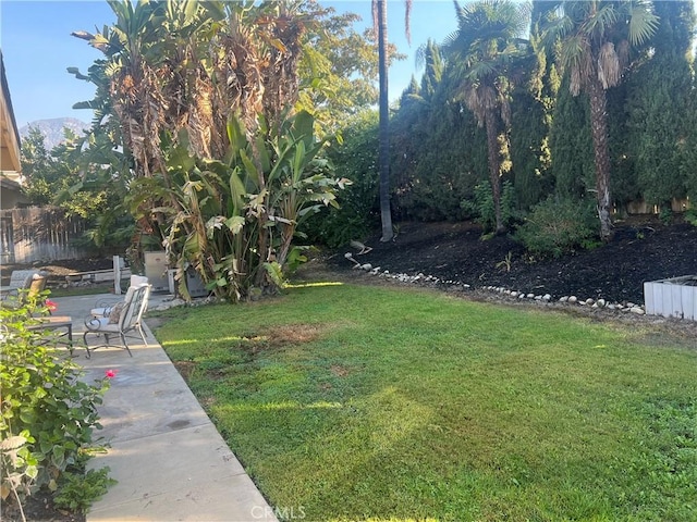 view of yard featuring a patio