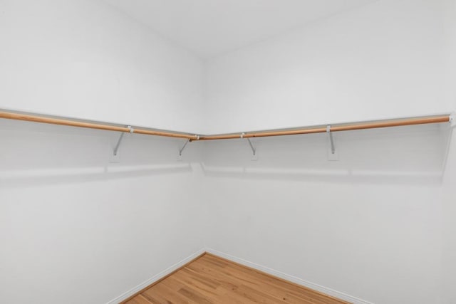 spacious closet with hardwood / wood-style flooring