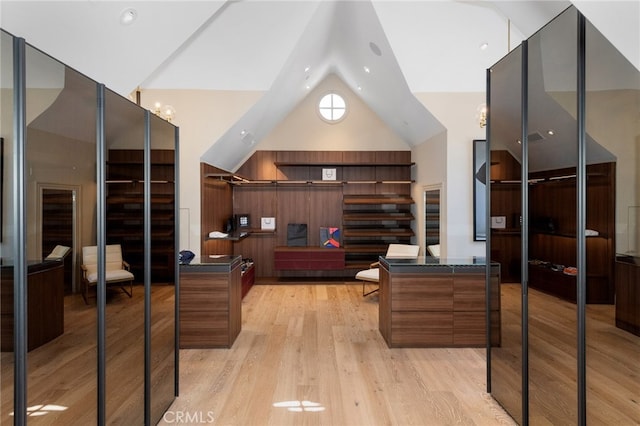 interior space featuring lofted ceiling and light hardwood / wood-style floors