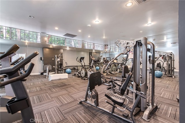 gym featuring carpet