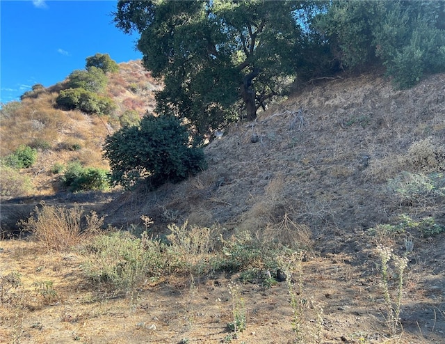 9040 La Tuna Cyn, Sun Valley CA, 91352 land for sale