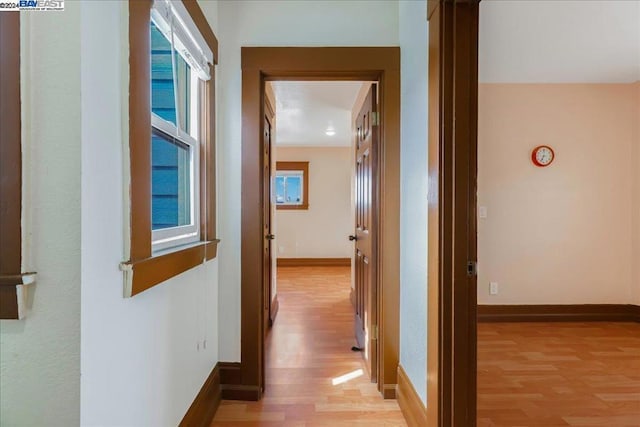 hallway with plenty of natural light and light hardwood / wood-style flooring