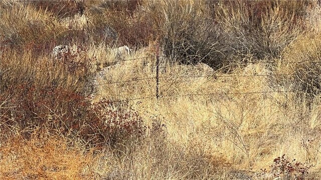 42520 Grama Rd, Aguanga, CA 92536 - photo 14