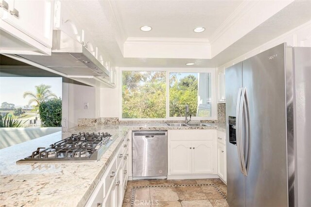 kitchen featuring a tray ceiling, stainless steel appliances, crown molding, white cabinetry, and a sink