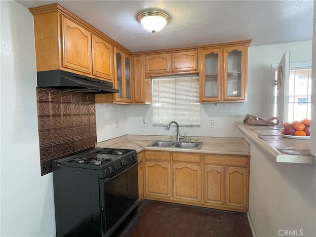 kitchen with gas stove, dark hardwood / wood-style flooring, and sink