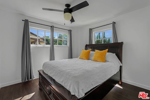 bedroom featuring dark hardwood / wood-style floors and ceiling fan