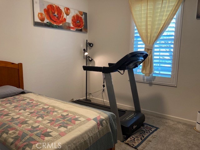 bedroom featuring carpet