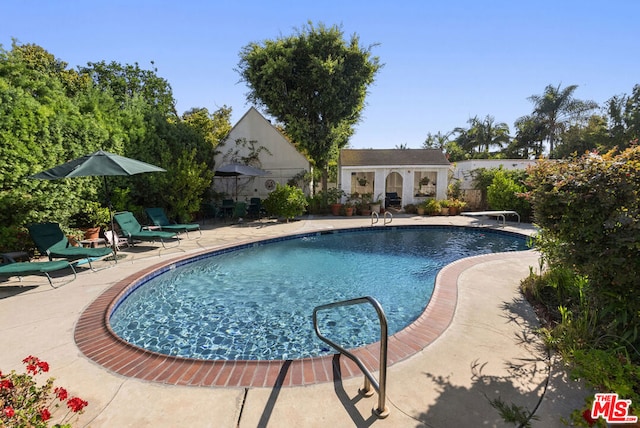 view of swimming pool with a patio area and a diving board