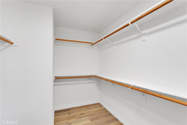 spacious closet with light wood-type flooring