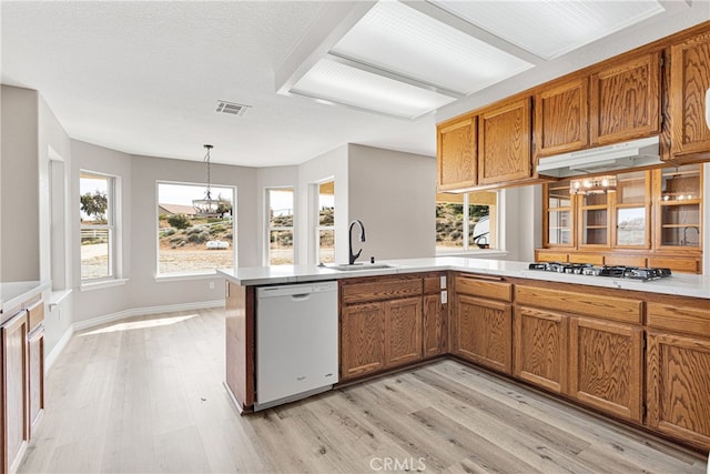 kitchen with light hardwood / wood-style flooring, white dishwasher, plenty of natural light, and sink