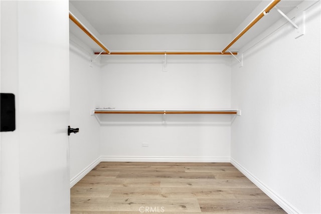 walk in closet featuring light hardwood / wood-style floors