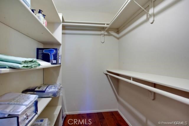 spacious closet with dark hardwood / wood-style floors