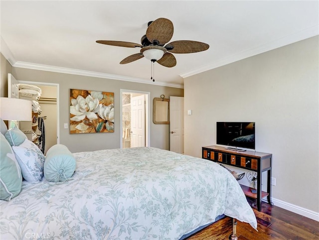 bedroom with baseboards, a spacious closet, a ceiling fan, wood finished floors, and ornamental molding