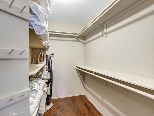 spacious closet featuring dark wood-type flooring