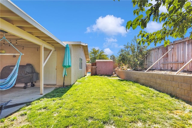 view of yard with a patio and a storage shed